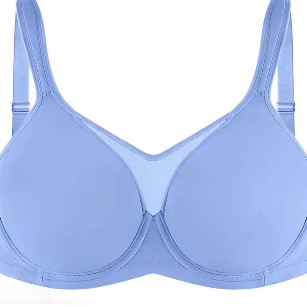 Elegant Sky Blue Women's Bra